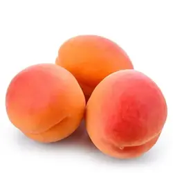 نهال زردآلو تبرزه پیوندی اصلاح شده