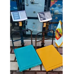 ترازو باسکول ۳۰۰ کیلویی گارددار تاشو کیبورد استیل