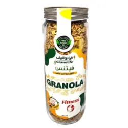 گرانولا فیتنس 380گرمی