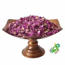 پرگل محمدی
