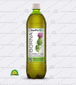 کامبوچا مارتیغال