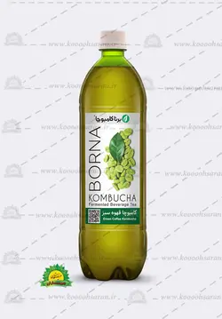 کامبوچا قهوه سبز