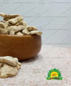 گیاه زنجبیل قلم 100گرمی کوهساران