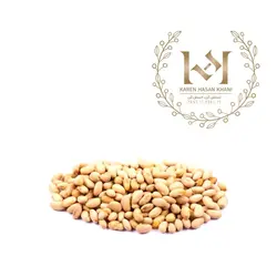 سویا آجیلی - KHK