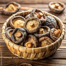 قارچ شیتاکه پرورشی خشک بسته یک کیلویی