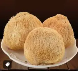 پلیت قارچ یال شیر یا هریسیوم Lions mane mushroom strain