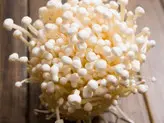 قارچ انوکی خشک شده بسته 50 گرمی Dried Enoky mushroom