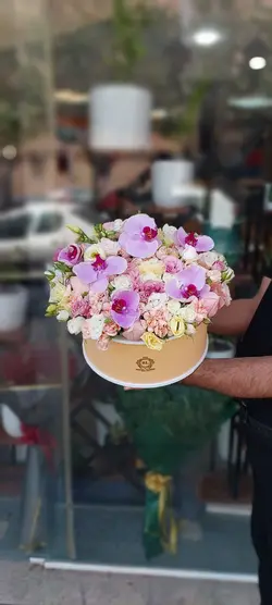 لاکچری باکس