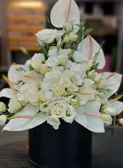 باکس ترحیمی