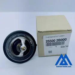 ترموستات سراتو {جنیون پارت }255002B000  اصلی  ارسال رایگان