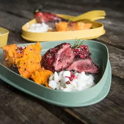 بشقاب و درپوش سفری مدل StackLid BIO - لایت مای فایر