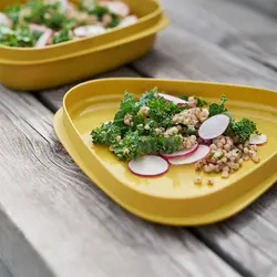 بشقاب و درپوش سفری مدل StackLid BIO - لایت مای فایر