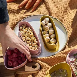 ظرف بیضی دو عددی SnapBox OVAL BIO - لایت مای فایر