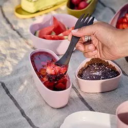 ظرف بیضی دو عددی SnapBox OVAL BIO - لایت مای فایر