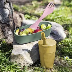 ظرف بیضی دو عددی SnapBox OVAL BIO - لایت مای فایر