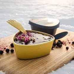 ظرف مثلثی دو عددی SnapBox BIO - لایت مای فایر