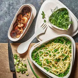 مجموعه Lunchkit (6 تکه) - لایت مای فایر