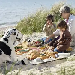 مجموعه MEALKIT BIO (8 تکه) - لایت مای فایر