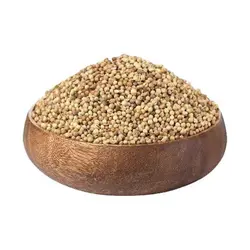 تخم گشنیز بانیشی (50 گرمی) پک اقتصادی