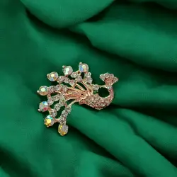 گل‌سینه طاووس