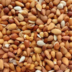 بادام کوهی (تلخ)