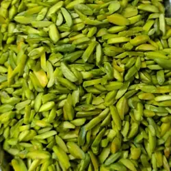 فرآورده‌های پسته و بادام درختی