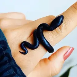 انگشتر مار سیاه - شاپ اکسسوری