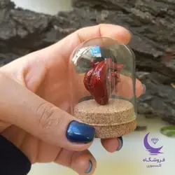 هدیه به عشق| قلب آناتومیک 3 بعدی| فروشگاه اکسسوری