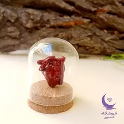 هدیه به عشق| قلب آناتومیک 3 بعدی| فروشگاه اکسسوری