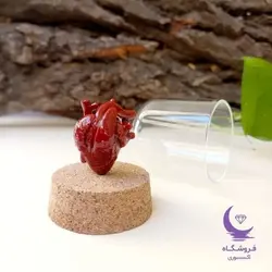 هدیه به عشق| قلب آناتومیک 3 بعدی| فروشگاه اکسسوری