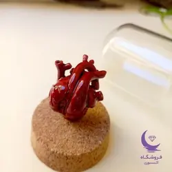 هدیه به عشق| قلب آناتومیک 3 بعدی| فروشگاه اکسسوری