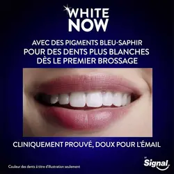خمیر دندان سیگنال مدل WHITE NOW (+1 TEINTE DE BLANC)