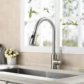 شیر ظرفشویی شاوری وارداتی کروم مات