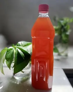 سرکه انجیر - عطاری بهشت گیاهان