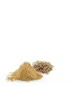 تخم شوید - عطاری بهشت گیاهان