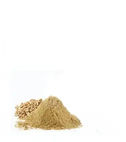 تخم گشنیز پودر - عطاری بهشت گیاهان