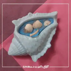 صدف دریایی - گیفتی‌‌ باکس|کادو - هدیه - محصولات دکوری