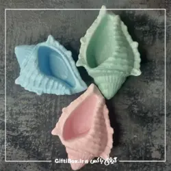 صدف دریایی - گیفتی‌‌ باکس|کادو - هدیه - محصولات دکوری