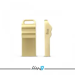 فلش تبلیغاتی D55