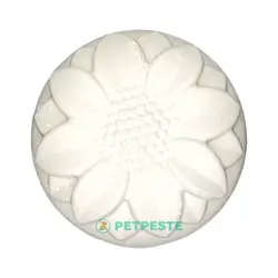 سنگ کلسیم پرنده توکا 70 گرم