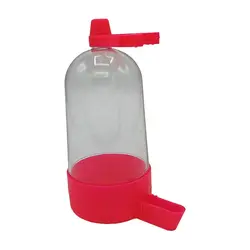 آبخوری پرنده چینی تپل