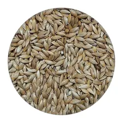 تخم کتان مکمل غذایی فوق‌العاده برای پرندگان زینتی