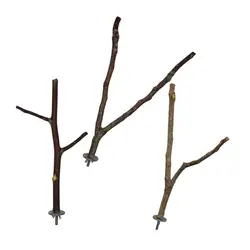 نشیمن پرنده دوشاخه