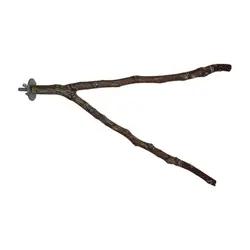 نشیمن پرنده دوشاخه
