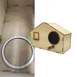 لانه عروس هلندی لیزری