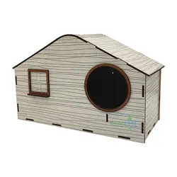 لانه عروس هلندی لیزری