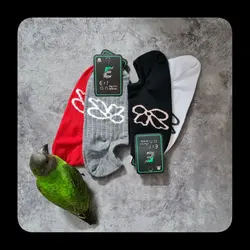 زیر قوزکی پاپیون