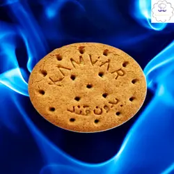 بیسکویت با سبوس فرآوری شده بدون شکر و رژیمی(کامور)