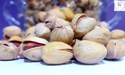 پسته فندقی شور