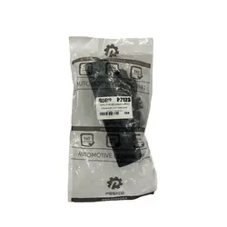 دستگیره در بیرونی راست خودرو پاسیکو مدل P2123 مناسب برای پژو 405 | گارانتی اصالت و سلامت فیزیکی کالا